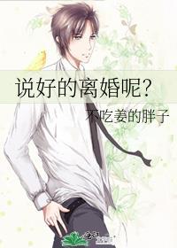 说好的离婚呢不吃姜的胖子番外